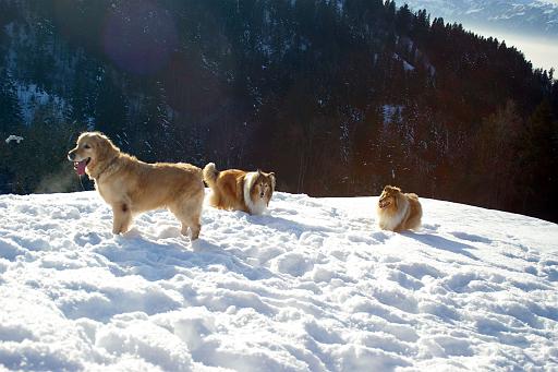 Fotos f. Homepage Galerie 049